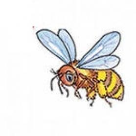 Украшения вафельные пчелки с рисунком