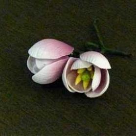 Украшения сахаристые 11927 Тюльпан лиловый, красный, чайный, розовый